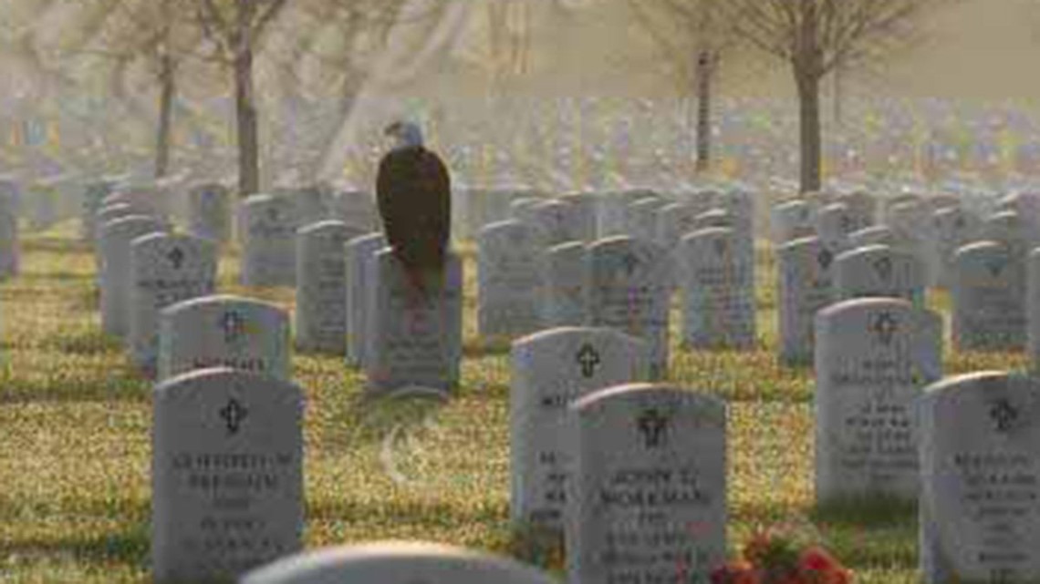 Eagle perched among headstones continues to spread Memorial Day message ...