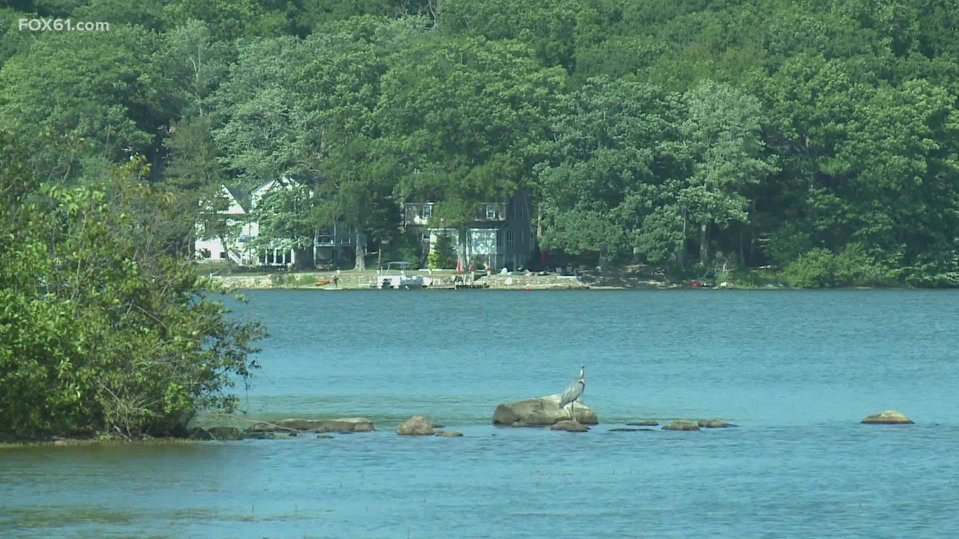 Summer on Coventry Lake is paused until potentially mid-August after a bloom of blue-green algae was detected.