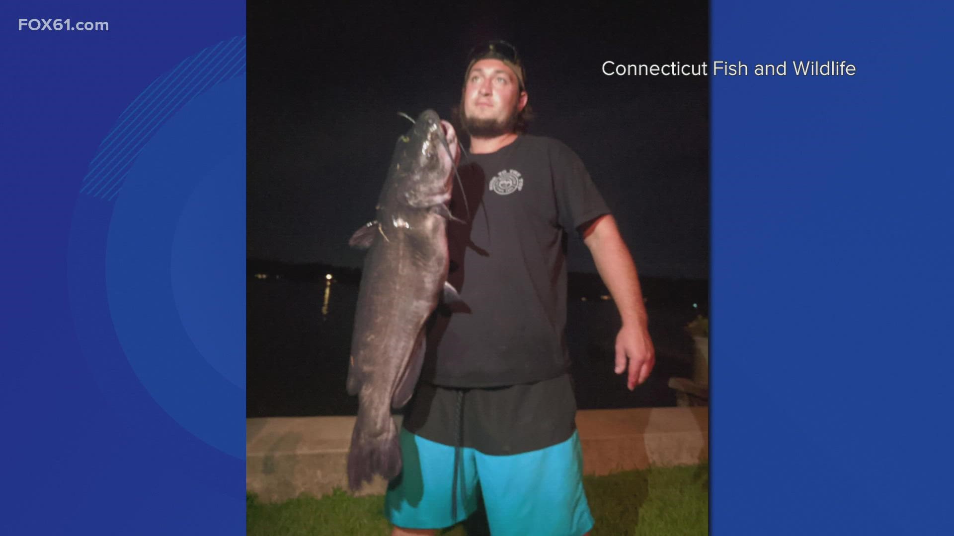 The fish weighed 21.3 pounds and was more than 3 feet long, easily breaking the previous state record, but DEEP officials said they needed to examine the actual fish