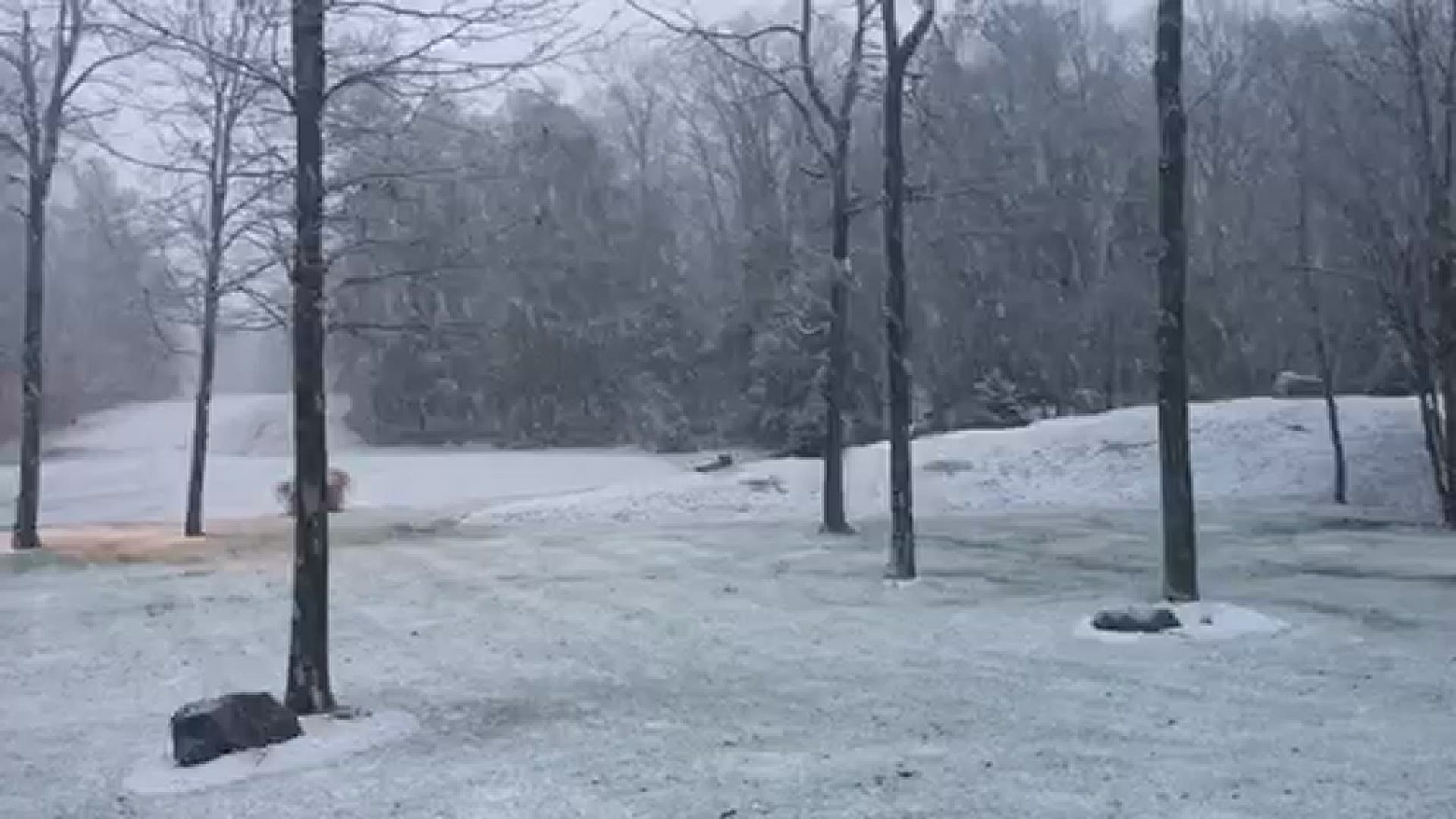 FOX61 viewers Pete & Paulina Losey shared this video of snow Saturday morning.