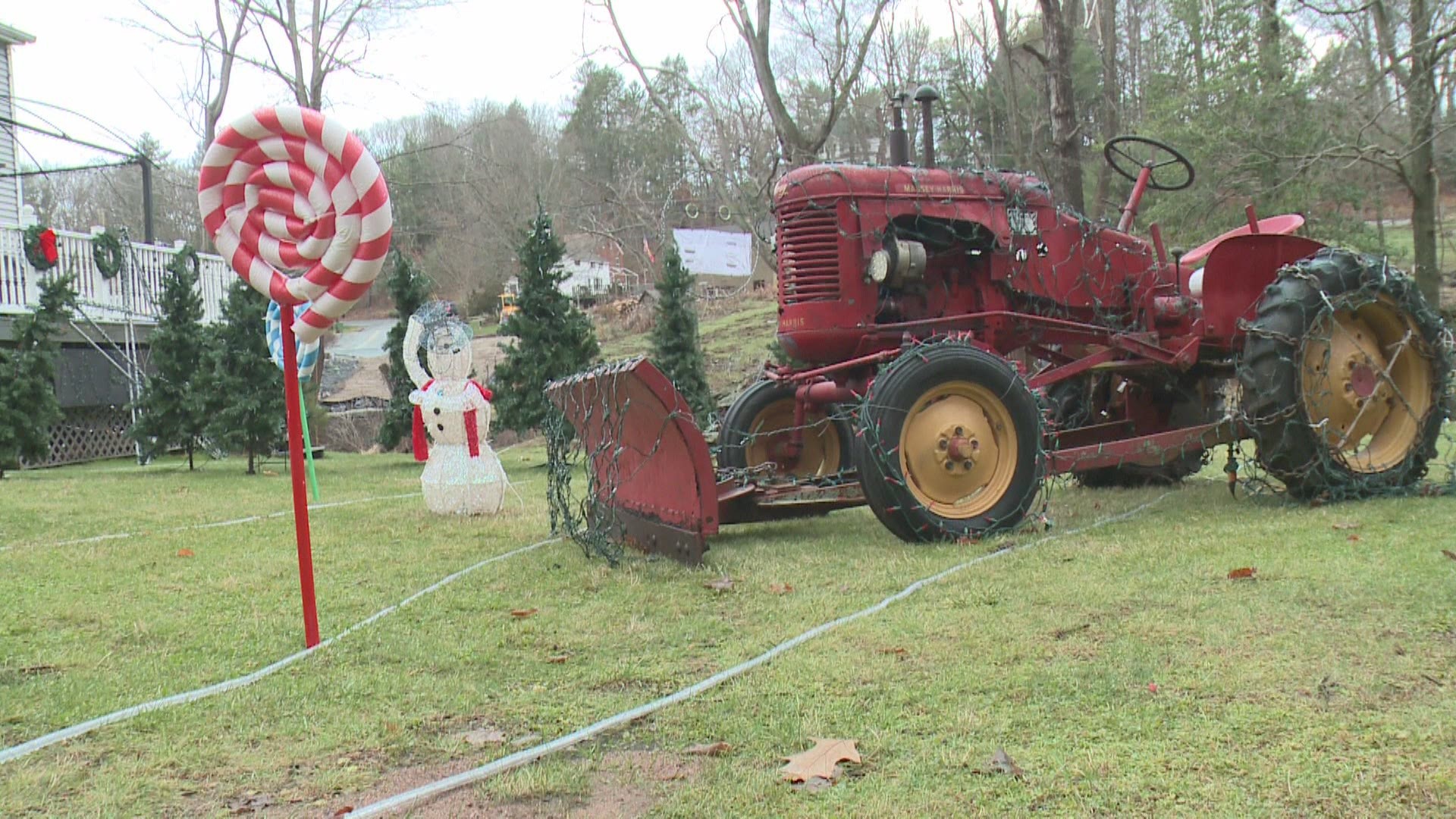 A hundred-foot tree came toppling down, and with it, the memories