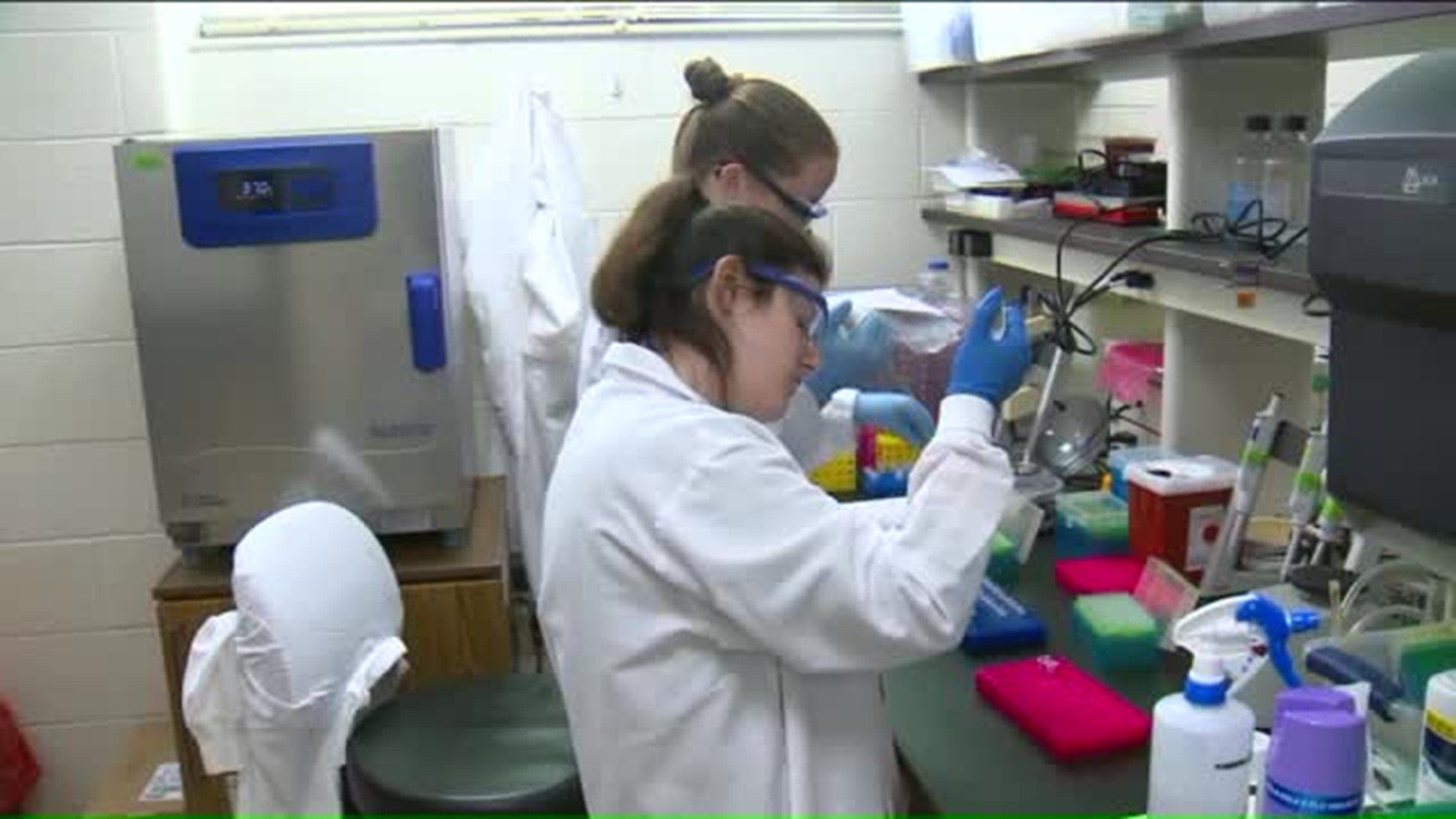 UConn lab working on Zika vaccine