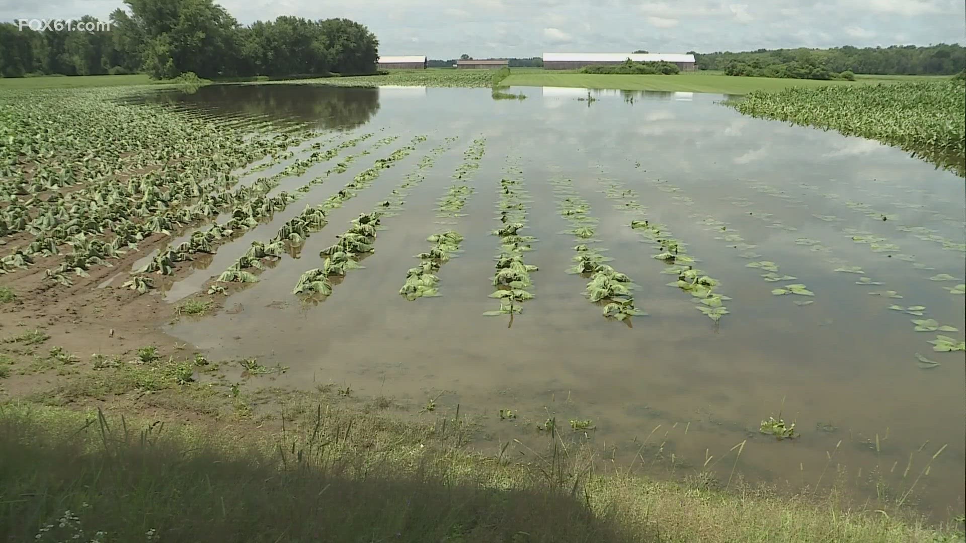 Heavy rainfall across the northeast has flooded, parks, beaches and farms causing dangerous conditions.