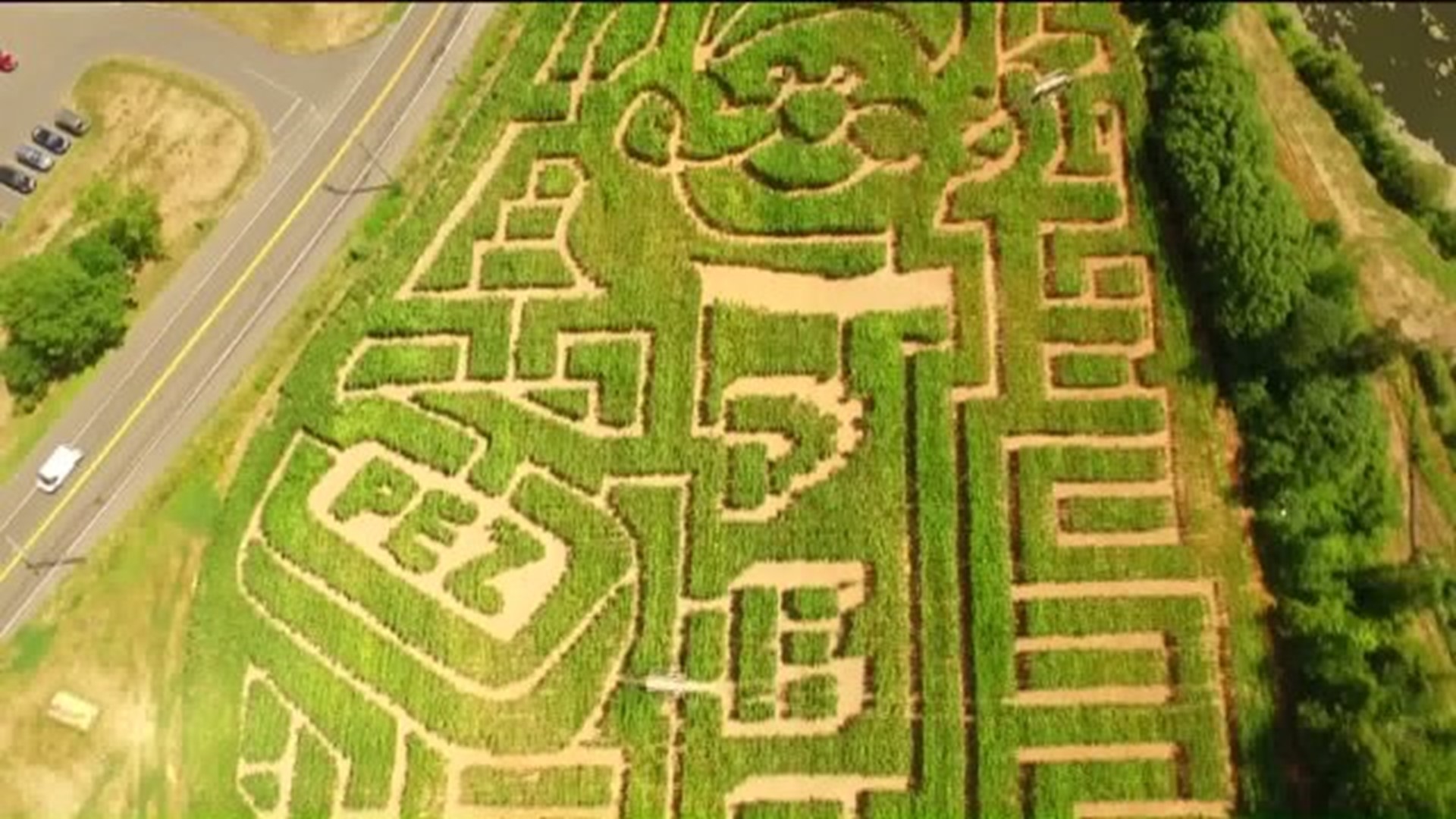 Daytrippers: Lyman Orchards corn maze is a sight to be seen