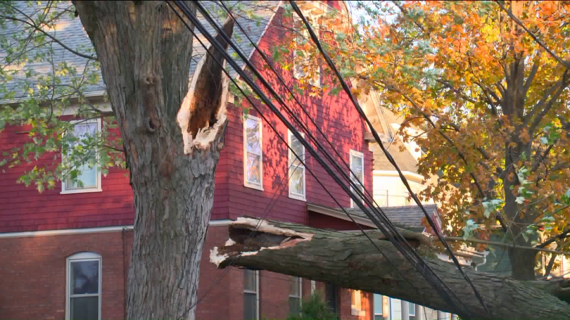 Downed trees and wires, power outages in Hartford