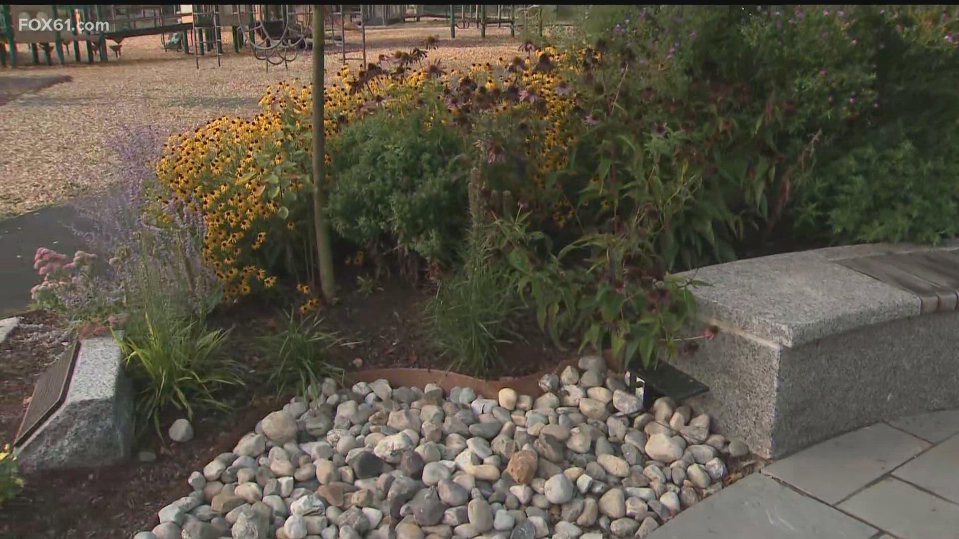 Laura's Garden in Wethersfield is a pollinator garden created to honor the life of Laura Hart. The annual Community Block Party is happening Sept. 19.