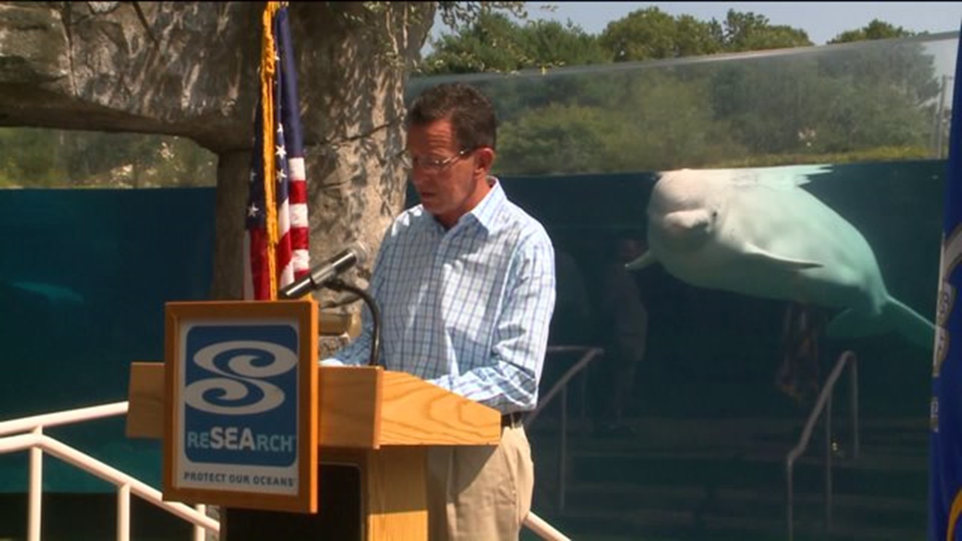 Whale steals Malloy`s  state tourism show
