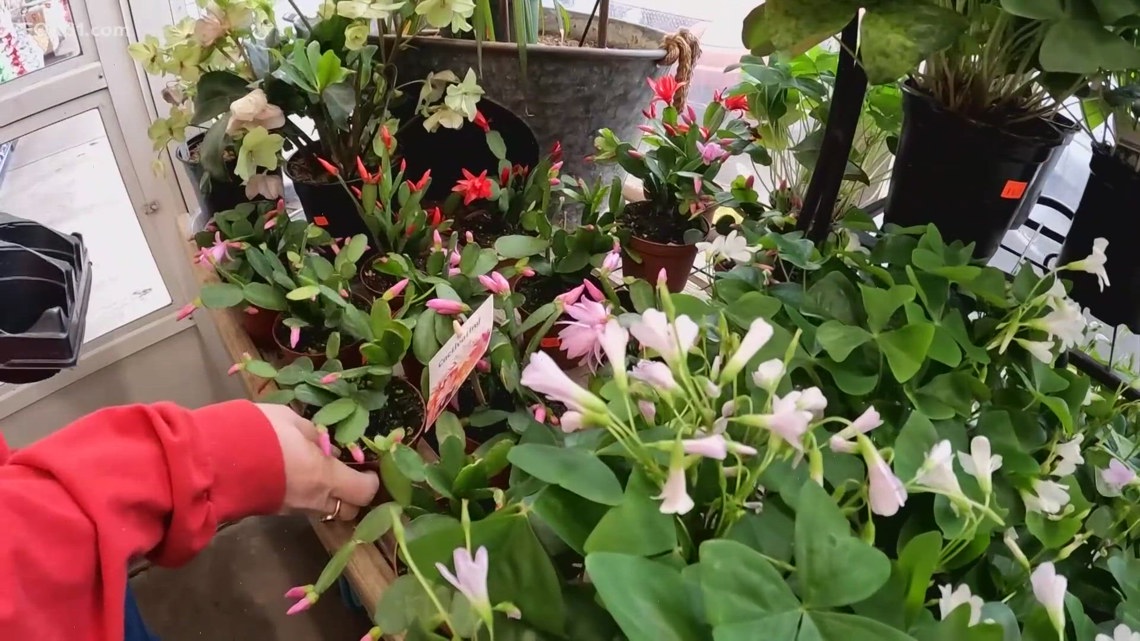 Warm spell sparks early gardening rush at popular East Hampton business