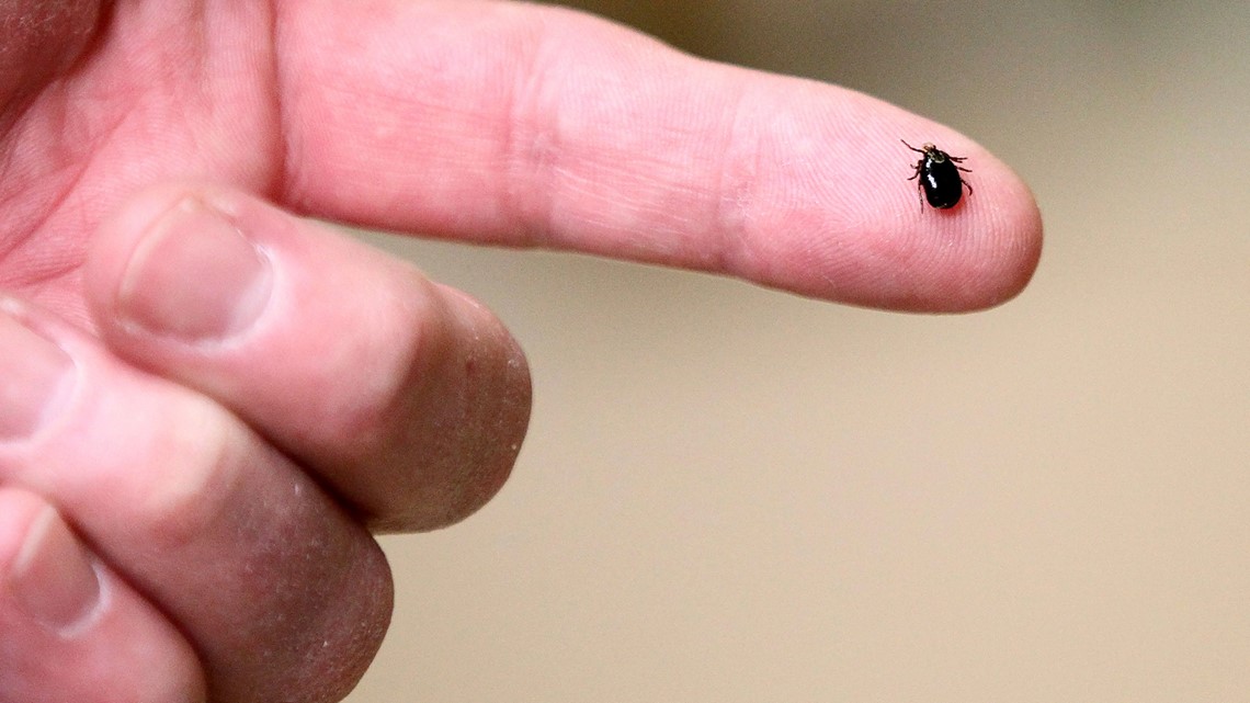 Tick-borne illnesses to watch out for this spring | Health Watch