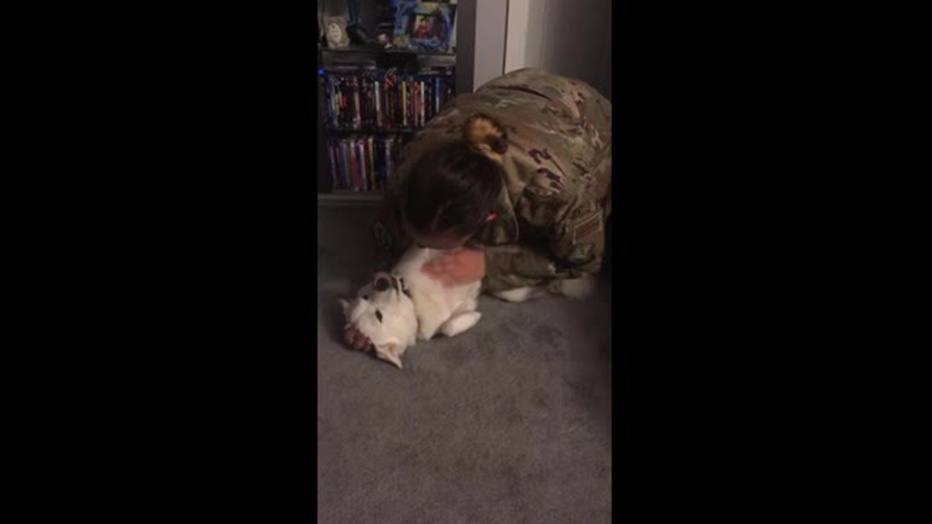 Dog reunites with owner