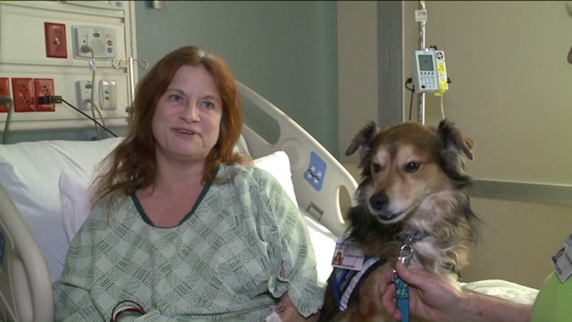 Pup gives love and hope to hospital patients