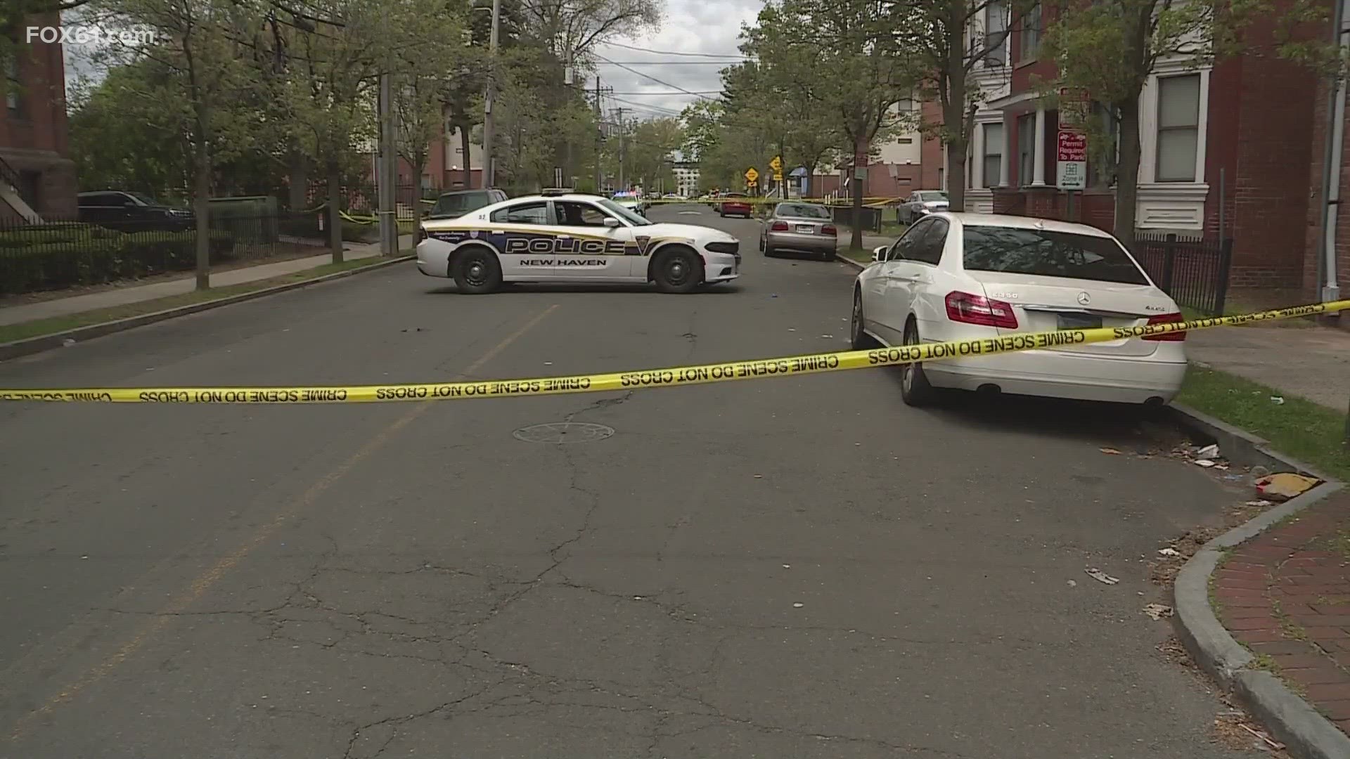 This marks the 11th homicide in New Haven this year.