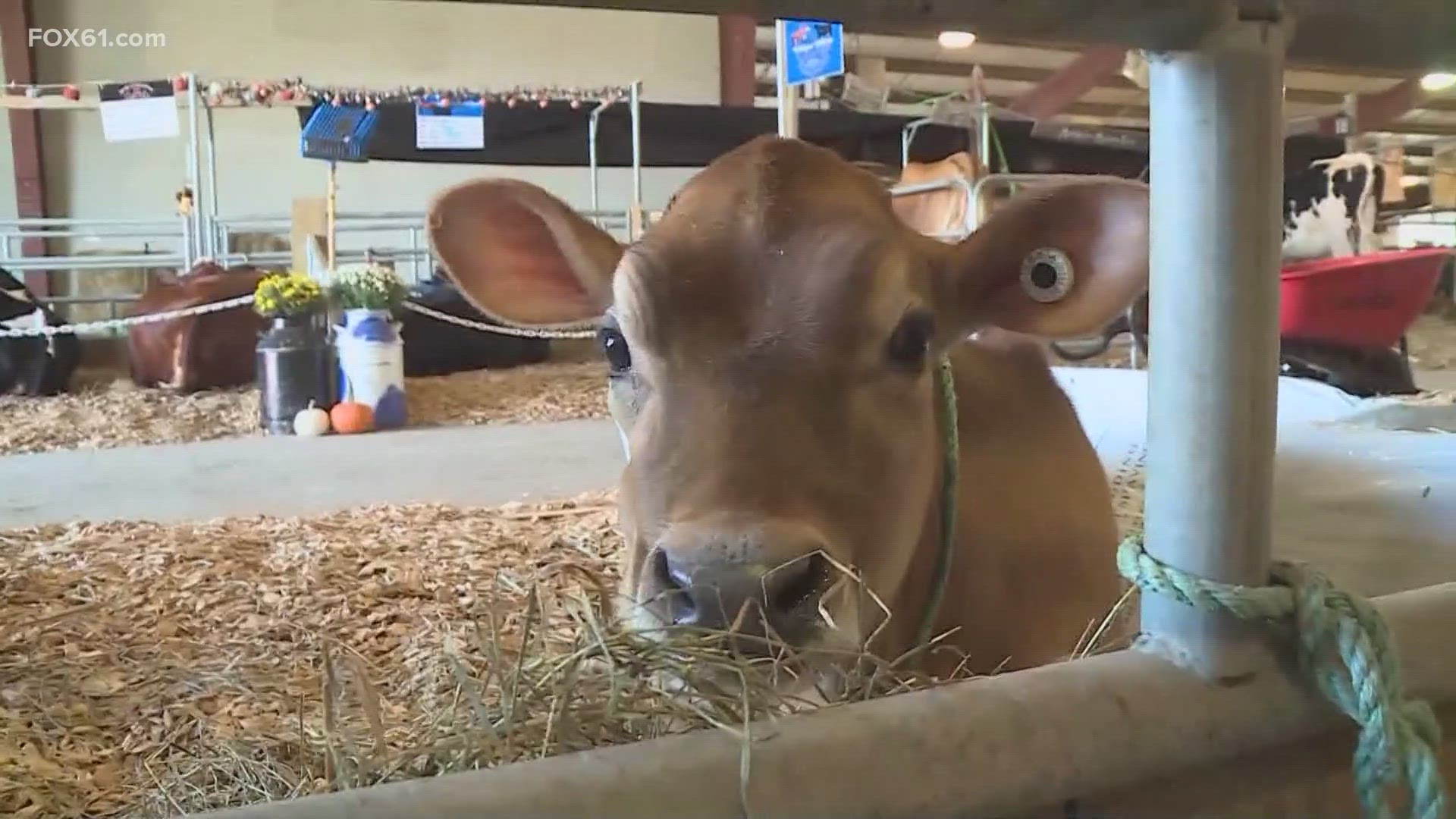 Families, especially children, are encouraged to attend to educate themselves on agriculture.