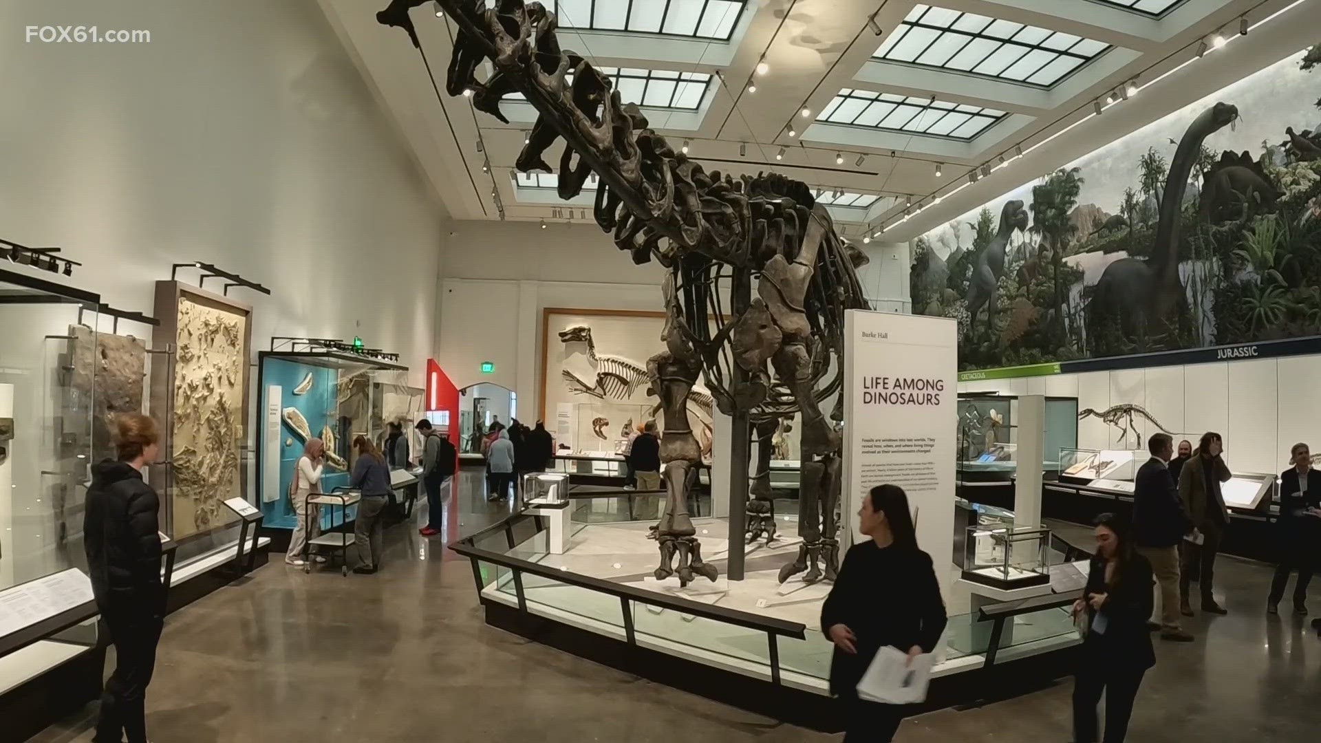 Inside the landmark museum famous for its prehistoric collection, museum leaders were welcoming visitors and celebrating on Tuesday.