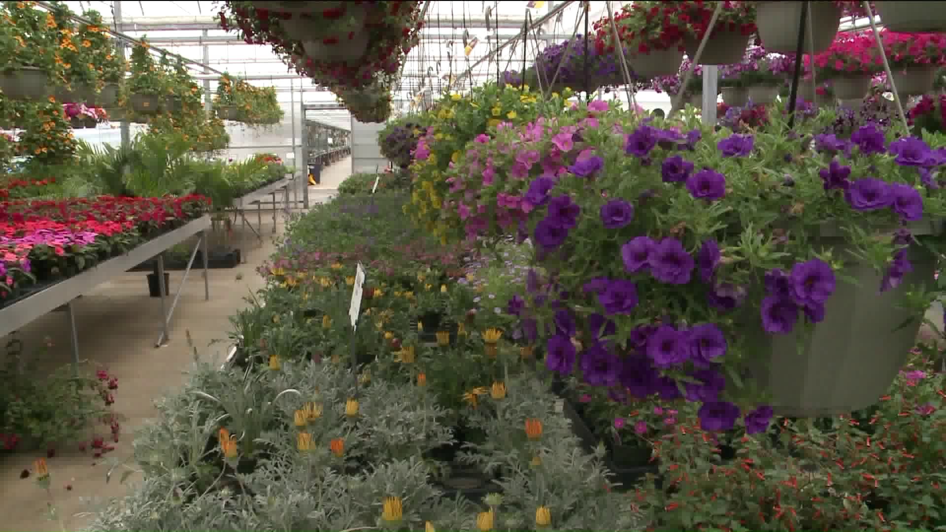 Weather causes slowdowns for landscapers
