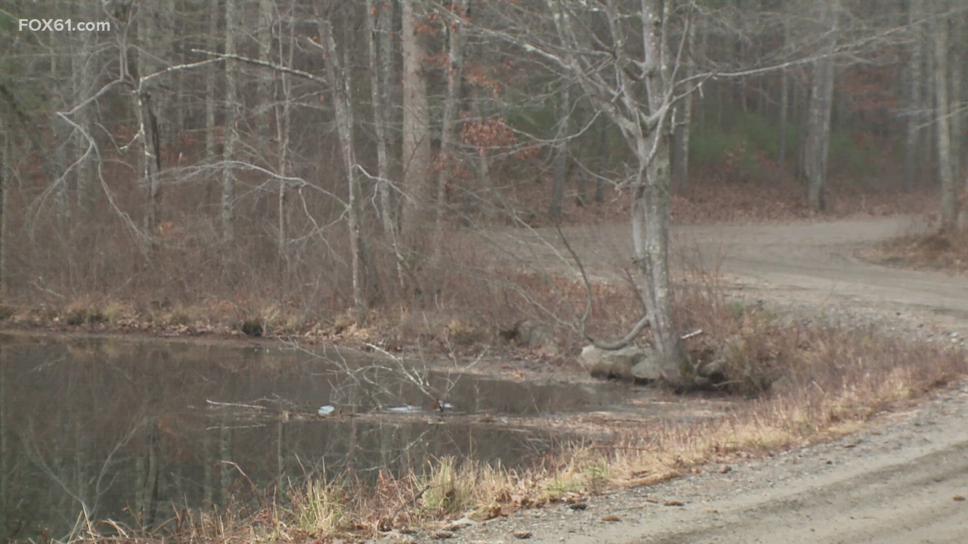 The dirt bikes collided head-on while performing wheelies, and both were thrown from their bikes, the investigation revealed.