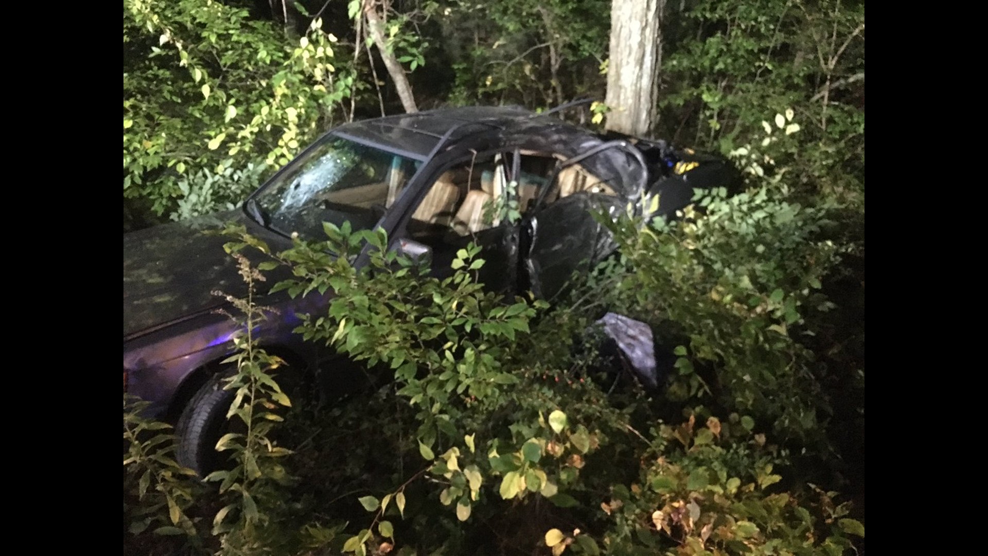 Crash into tree leaves two teens with minor injuries, one charged ...