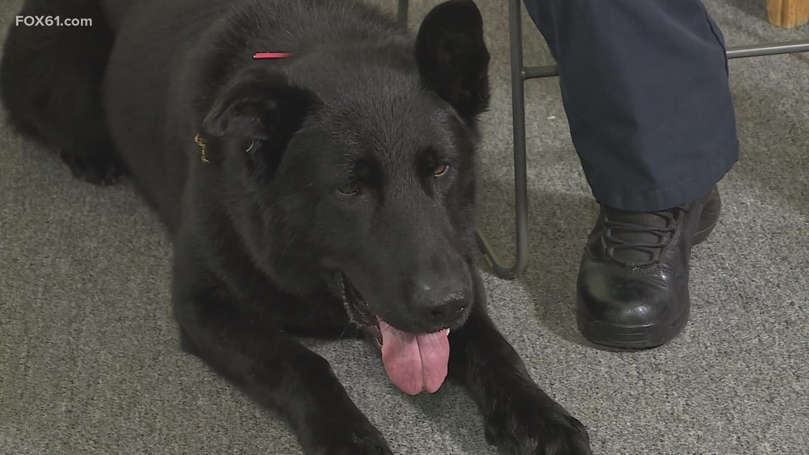 K9 Bruno Receives Vest Donation, News