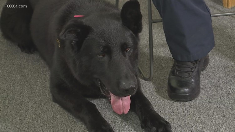 K-9s in demand for Bristol police as woman helps raise money as part of Operation Opioid: Exclusive