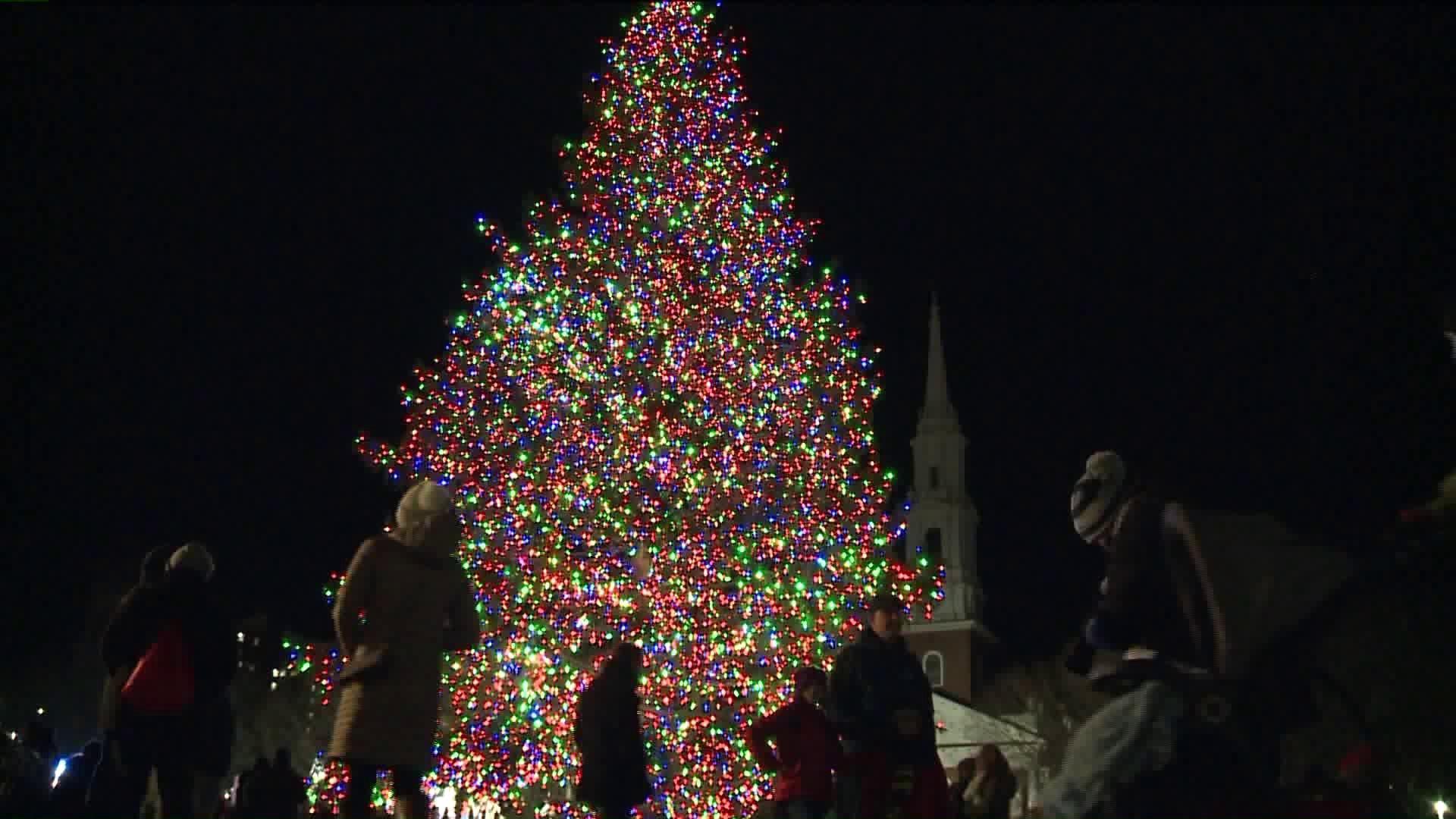 Annual christmas tree lighting kicks off at the New Haven Green