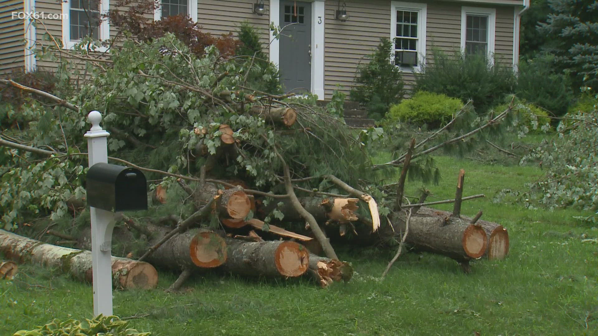 Around 1,000 families waited to get their power back on Saturday and begin cleaning up branches, limbs and trees that were downed by Friday night's storms.