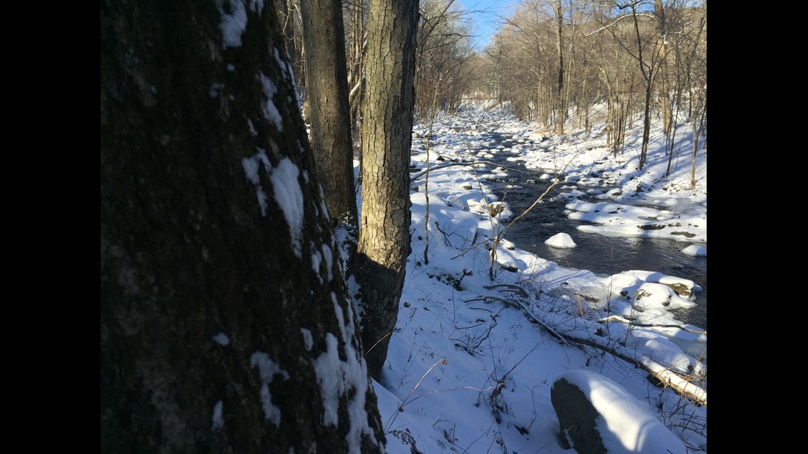 State Parks Celebrate the New Year with “First Day” Hikes across CT on