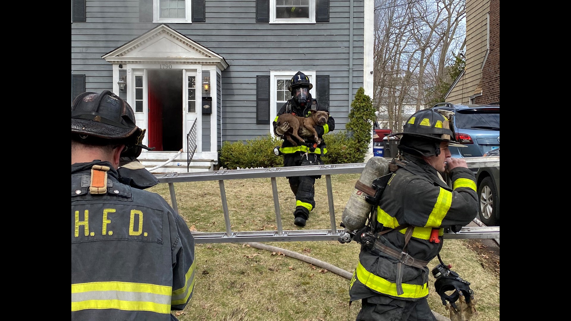 New Haven firefighters search for and rescue three dogs in fire | fox61.com