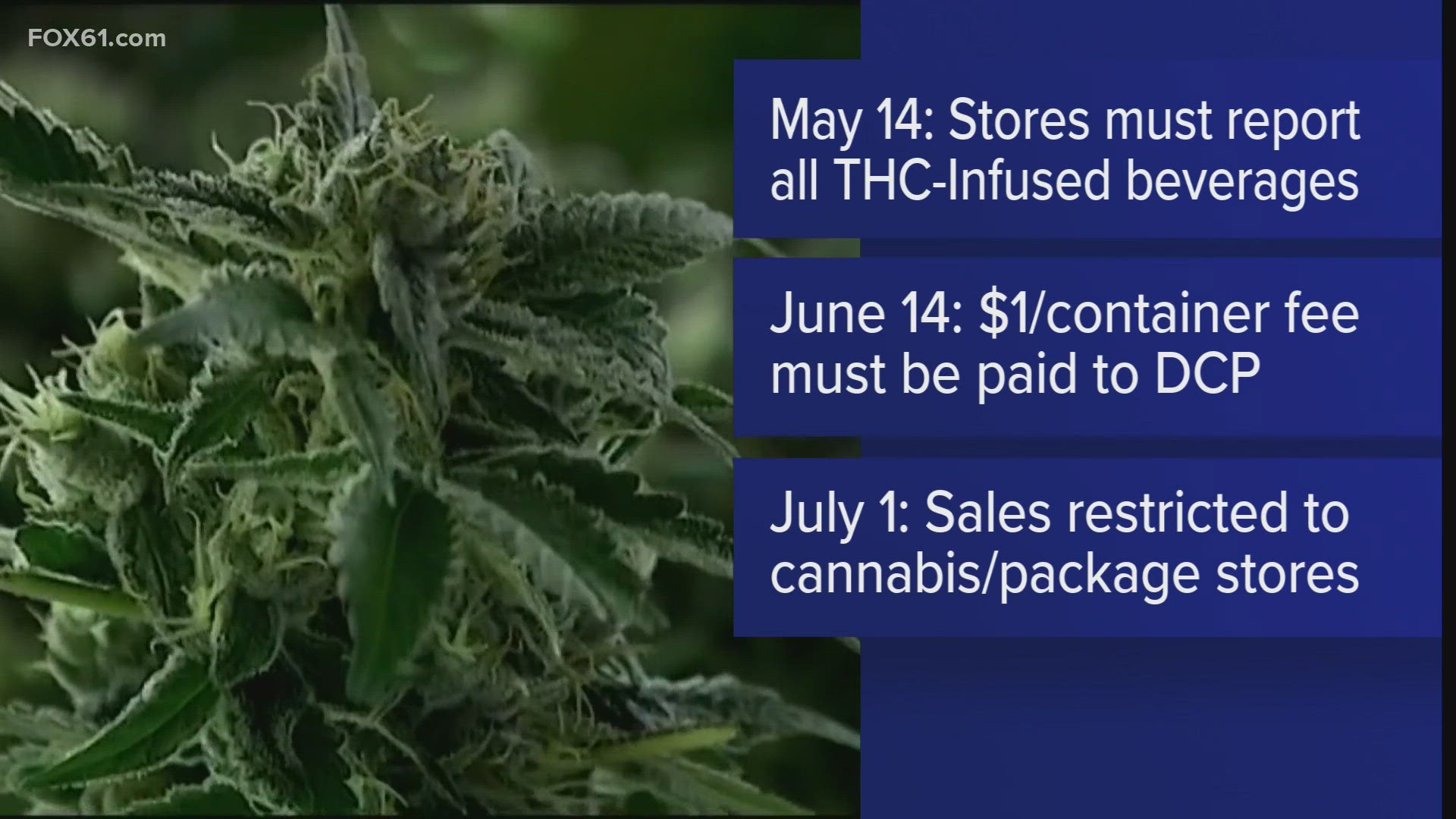 Businesses are asked to take an inventory on May 14 and must pay $1 per container by June 14.