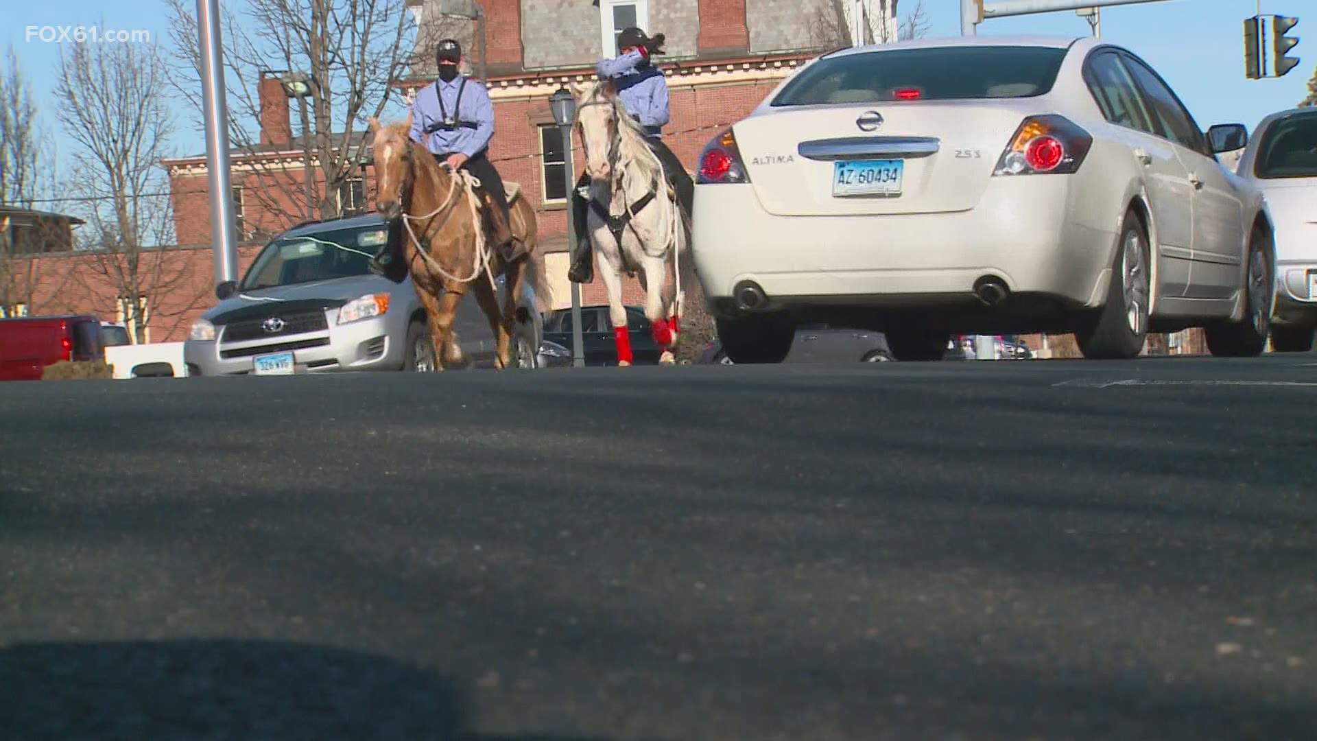 The organizers plan to try and take the horses into Hartford and surrounding areas two to three times a week when the weather gets warmer