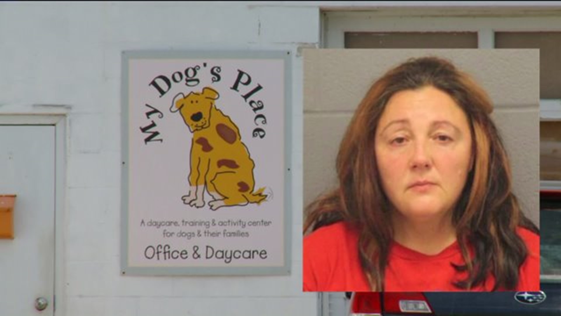 Professional dog trainer charged with animal cruelty