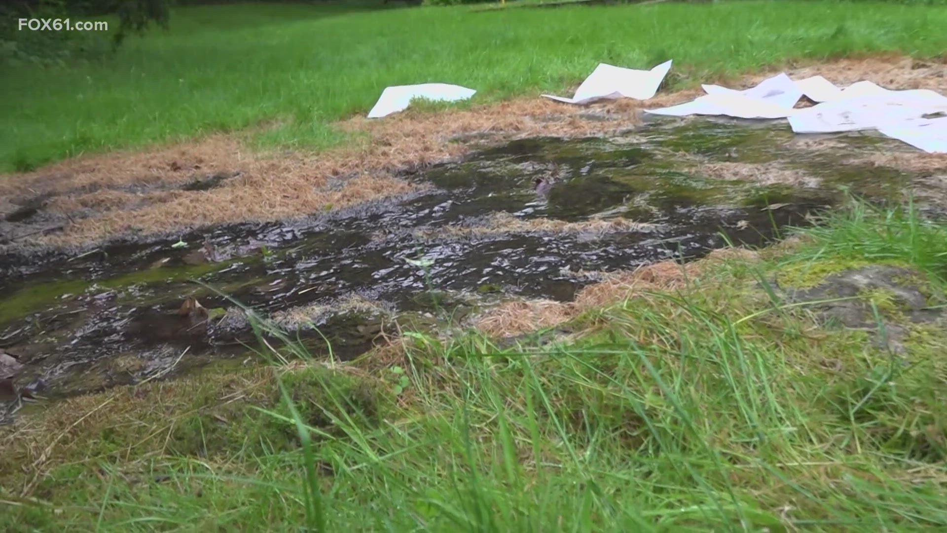 A residential home heating oil tank leaked gallons of oil into ground water in Waterbury, posing a threat to the local waterways.