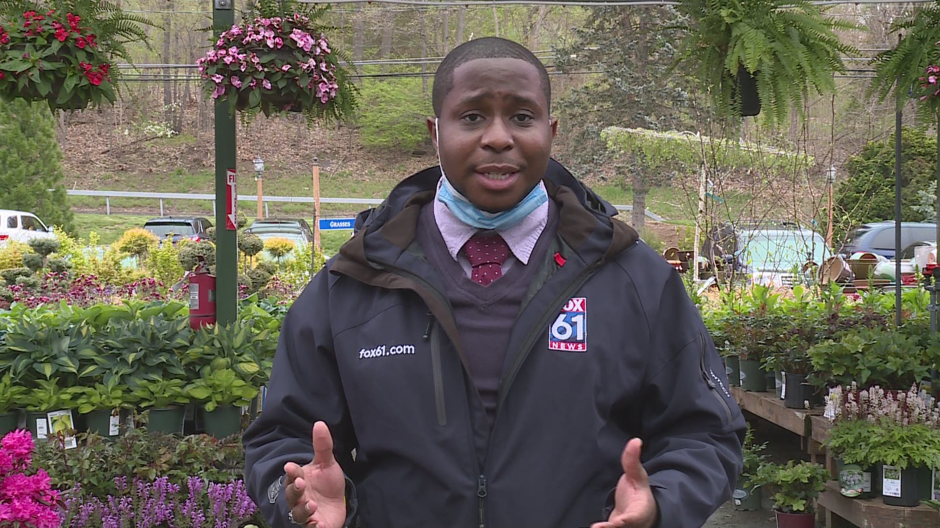 FOX61 spoke with The Garden Barn in Vernon to help explain what will happen to certain plants when the frost hits the region at an unexpected time.