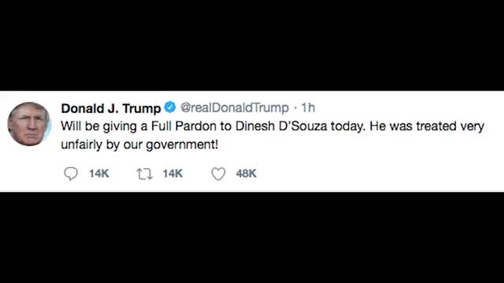 US-Trump-DSouza