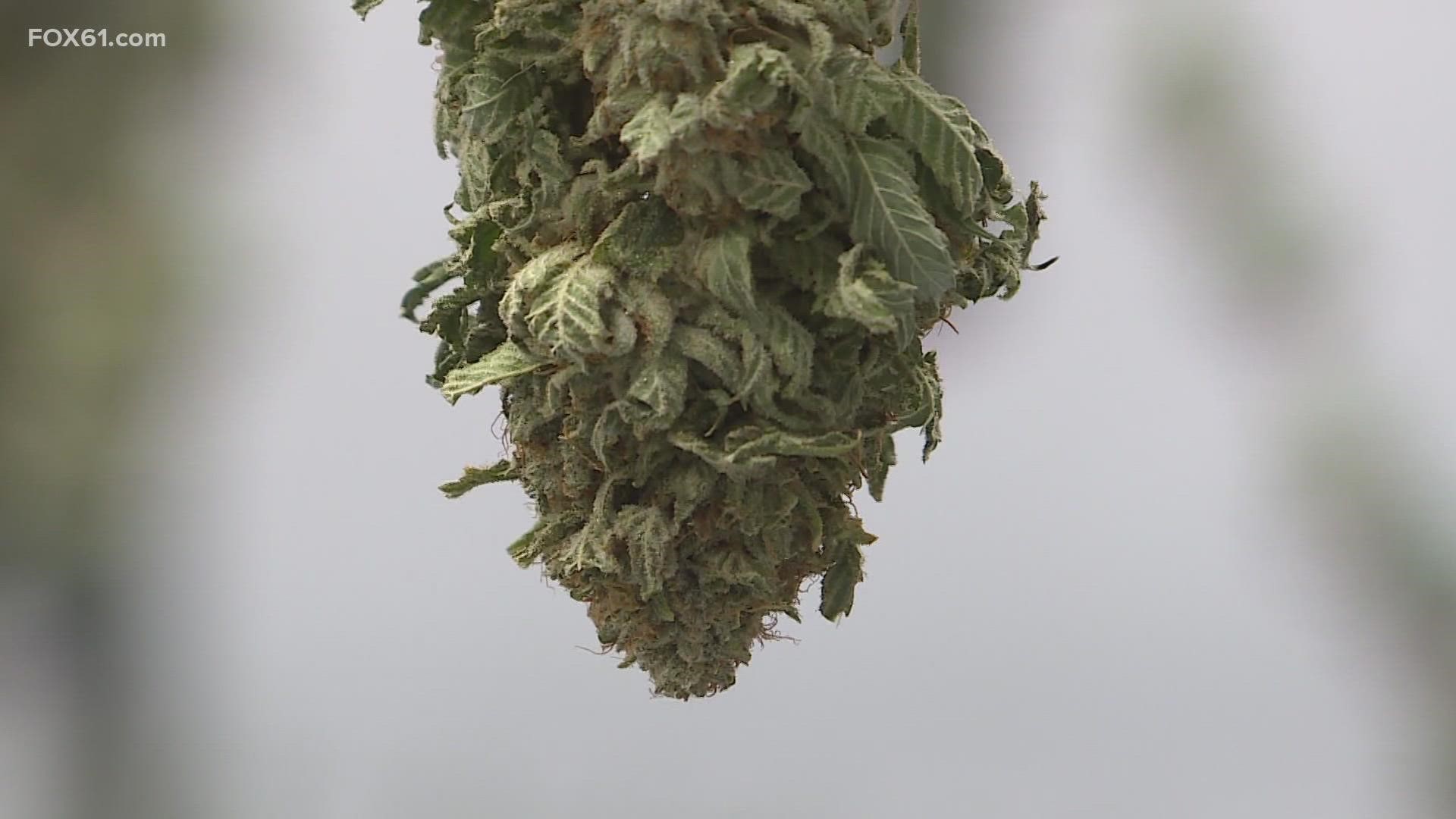 Marijuana possession has been legal for 18 months in Connecticut, but Tuesday was the first day it could be sold at retailers.