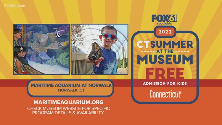 FOX61 Highlights CT Summer at the Museum: Maritime Aquarium