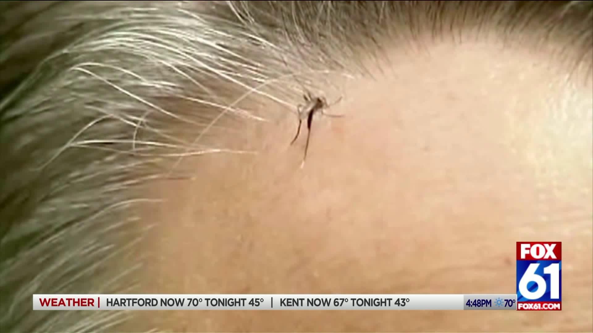 Mosquito testing begins in CT