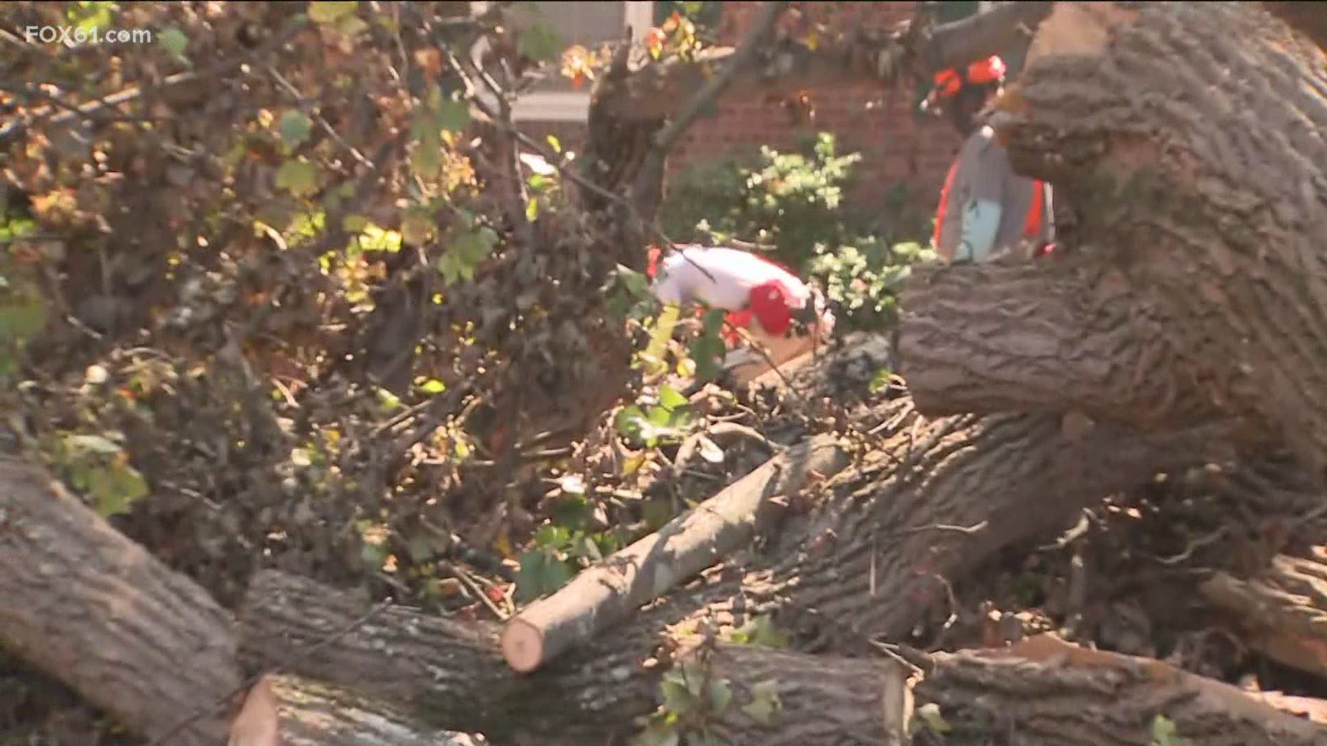 This Labor Day a group of veterans from Team Rubicon showed up in force to help.