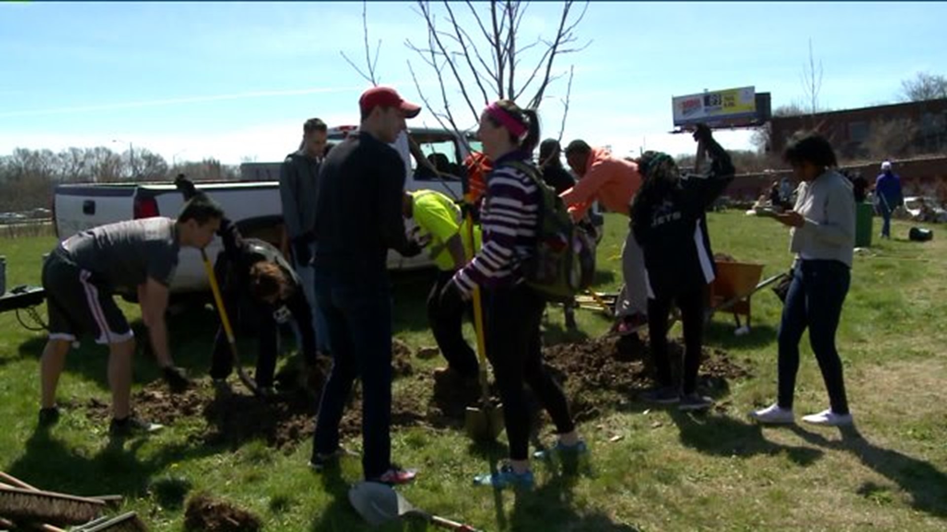 Trees planted at Pope Park