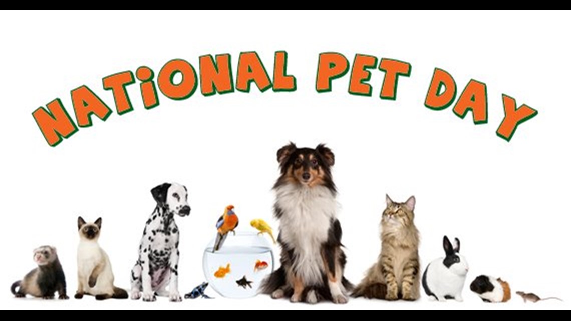 Top ten ways to celebrate National Pet Day today