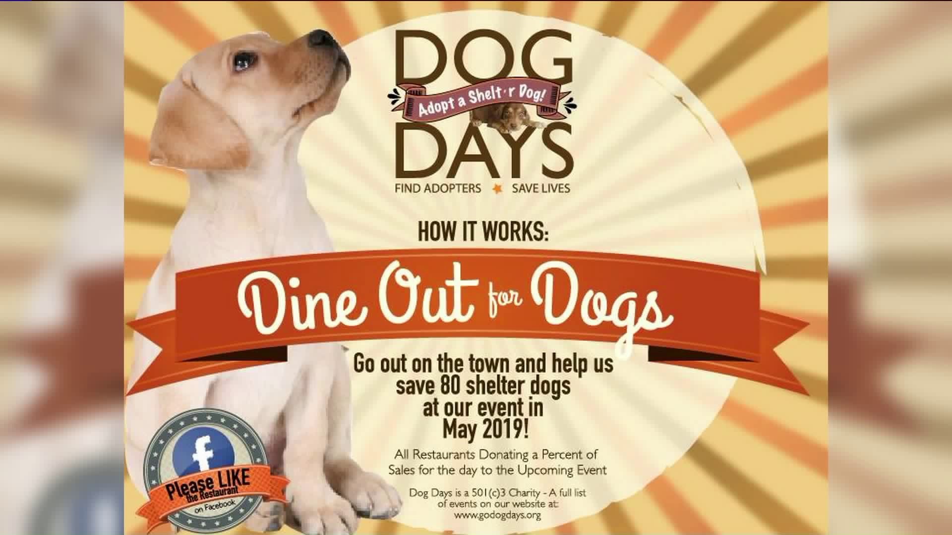 Dine out for Dogs