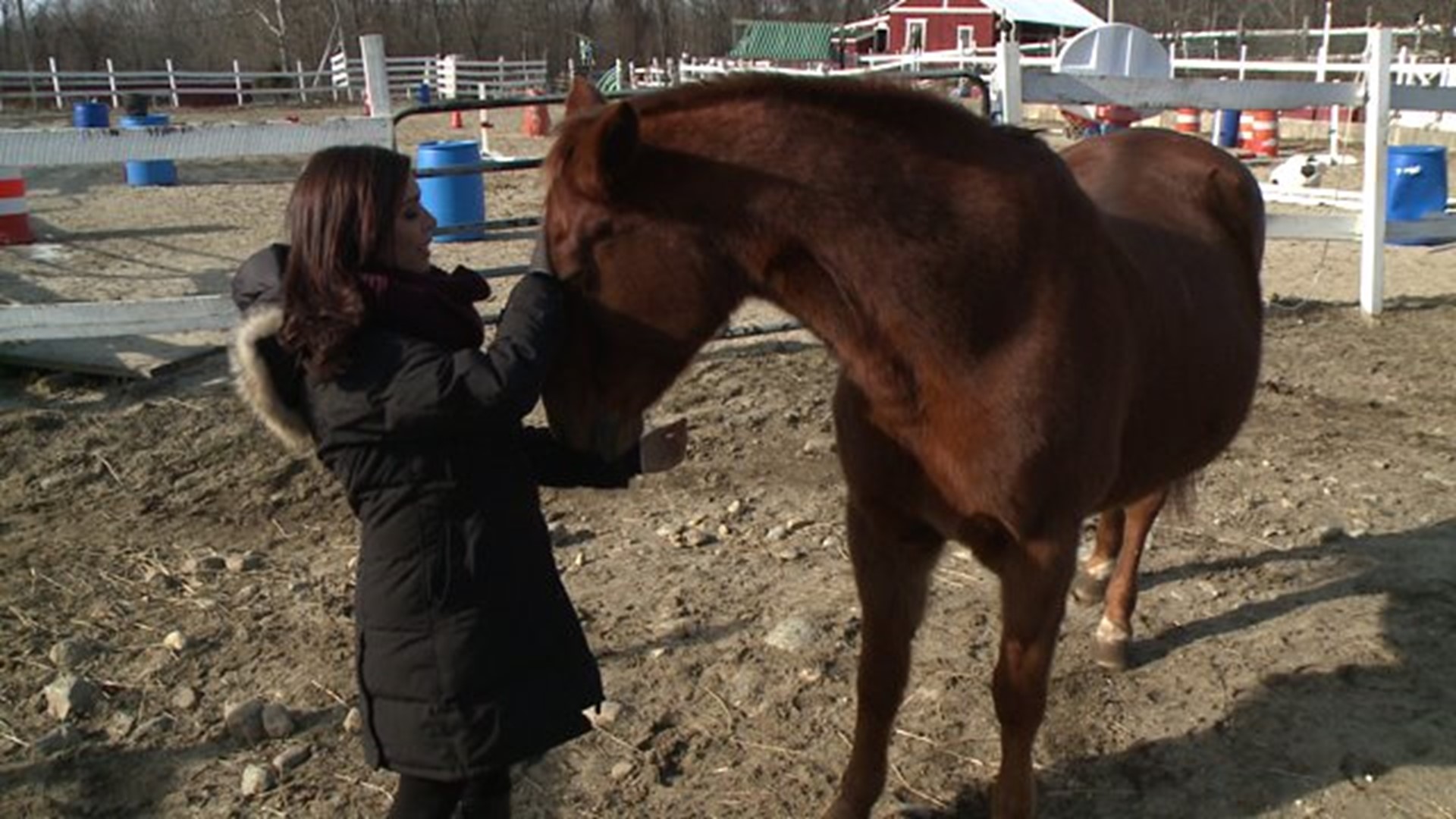 Farm that rescuses neglected, abused animals asking for help