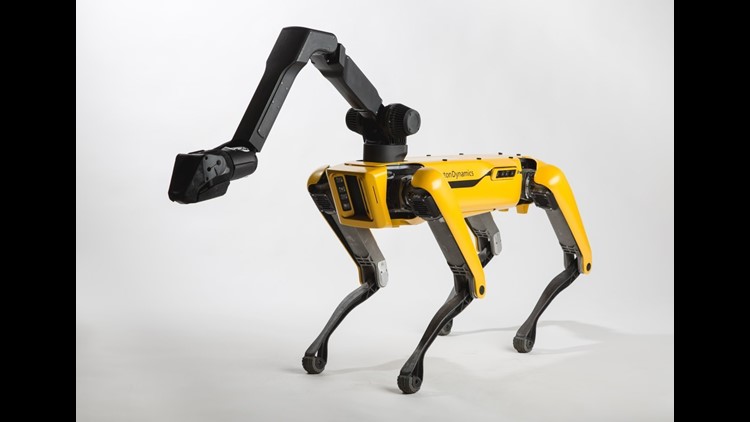 first robot dog