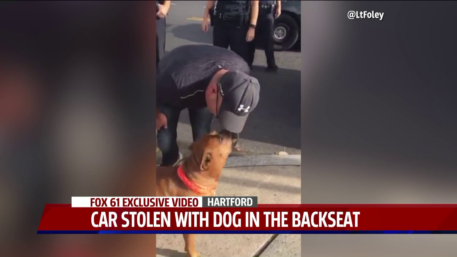 Cops help retrieve stolen dog