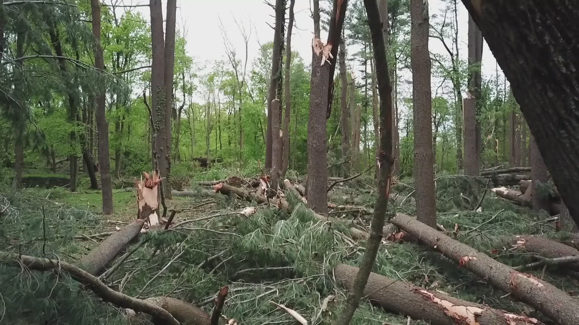 In 2018, a microburst tore down a field of trees and cluttered the trails at Sleeping Giant State Park. It took over a year to clean up the damage and rebuild.