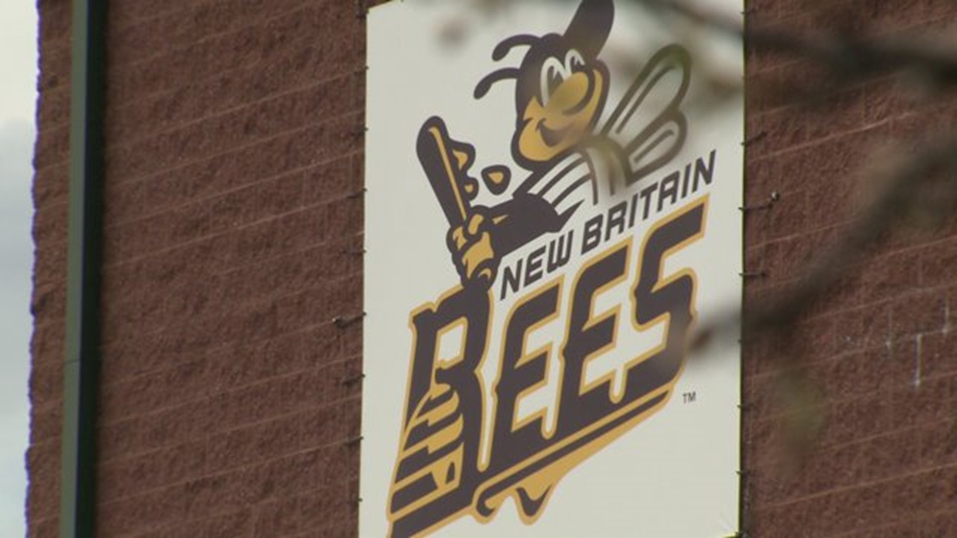 New Britain Bees gear up for first season