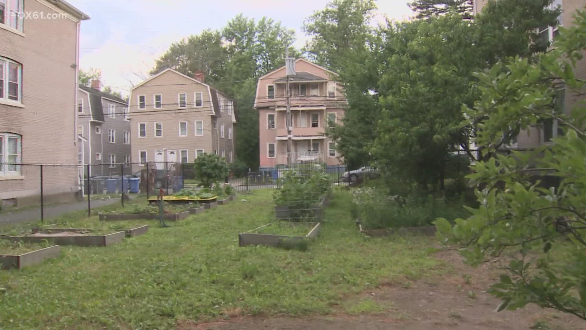 More than 20 community gardens around Hartford give families access to grow their own fresh produce.