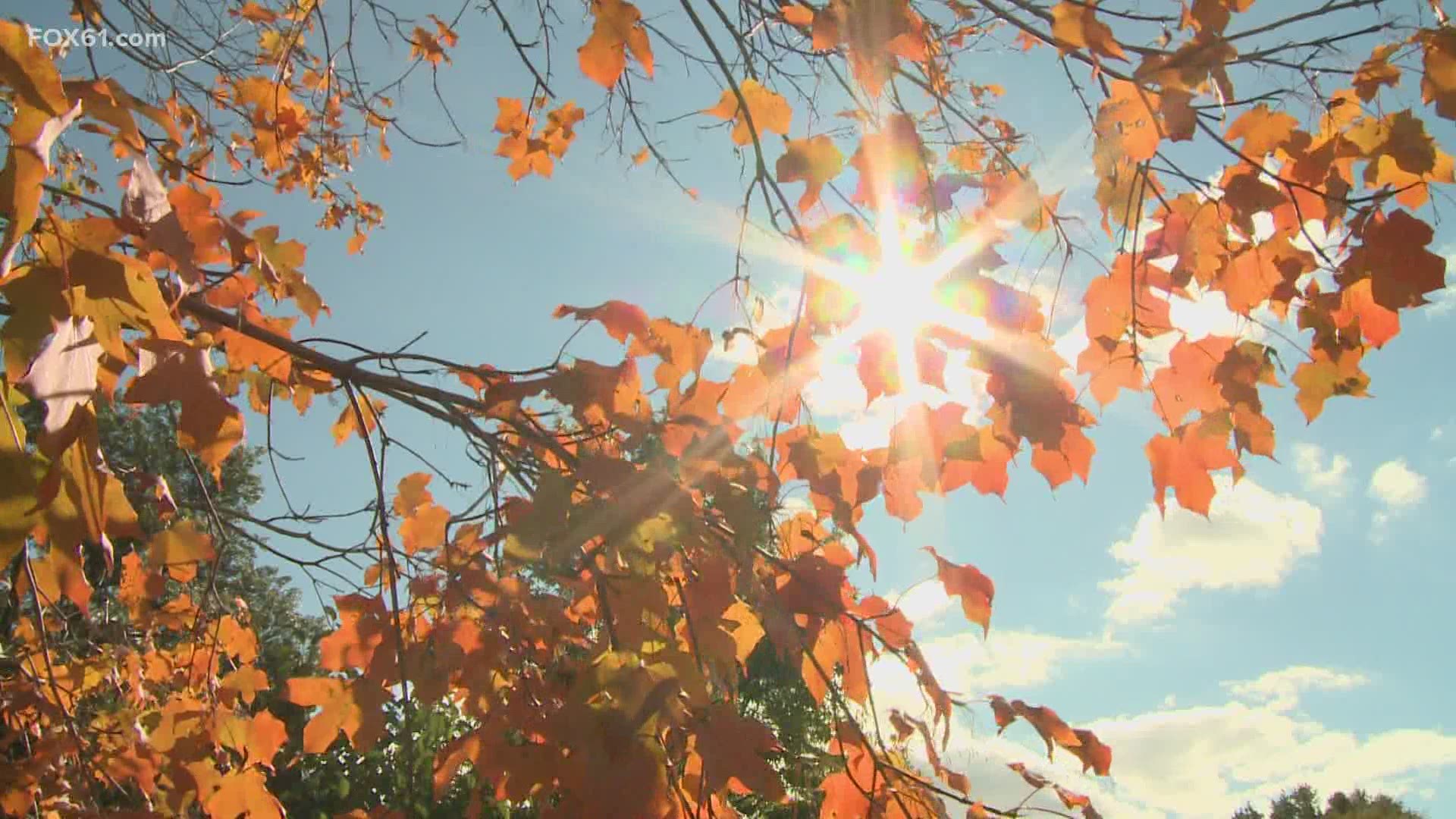 The Fall foliage season appears to be coming especially early in 2020