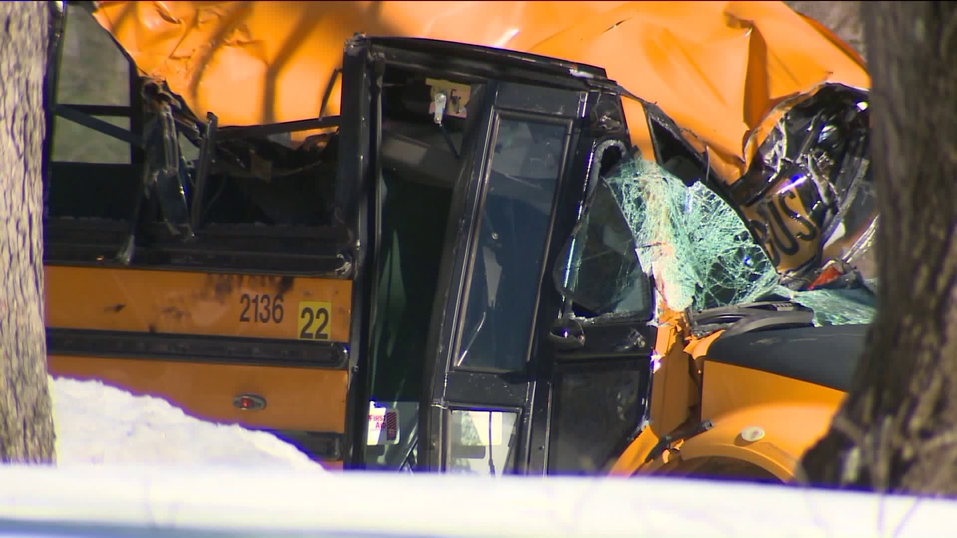 Tree falls on Avon bus, killing driver