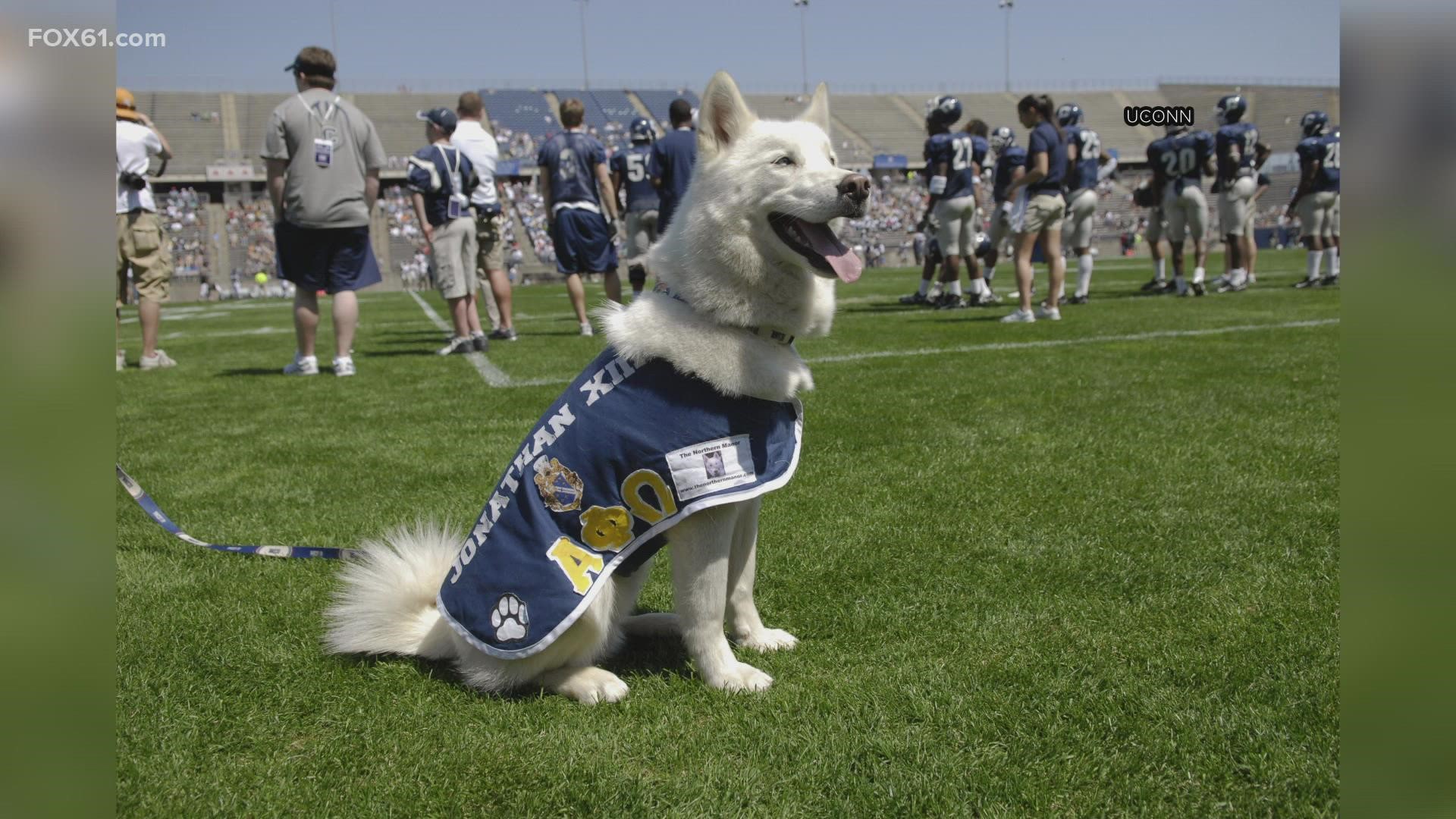 The husky was UConn's official mascot for almost six years before going into retirement. He made his public debut on March 9, 2008, at a men's basketball.