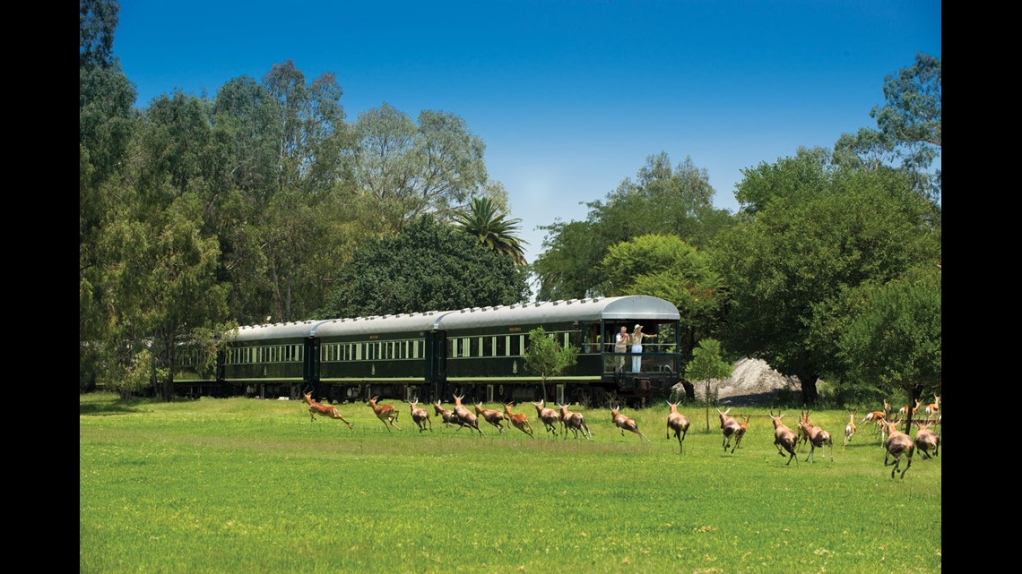 african safari by train